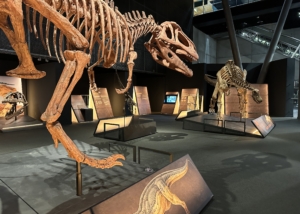 Dinosaurios de la Patagonia-Cosmocaixa