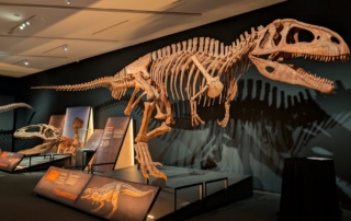 caixaforumdinosaurios
