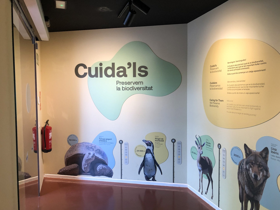 produccion-museografica-zoo-barcelona-cuidals-1