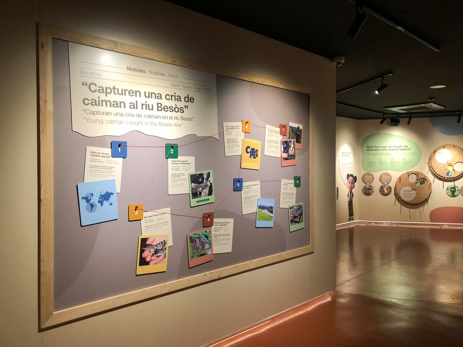 produccion-museografica-zoo-barcelona-cuidals-2