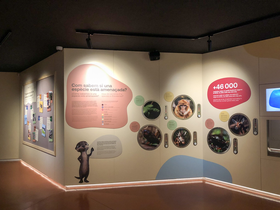 produccion-museografica-zoo-barcelona-cuidals-3