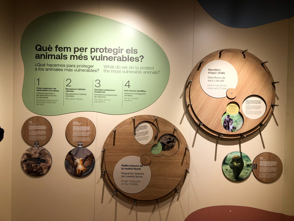 produccion-museografica-zoo-barcelona-cuidals-6