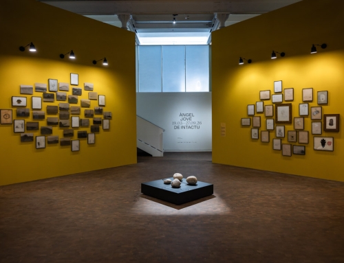 Display plinths for “De Intactu” at the Fundació Tàpies.